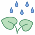 plant-under-rain_ffffff_100